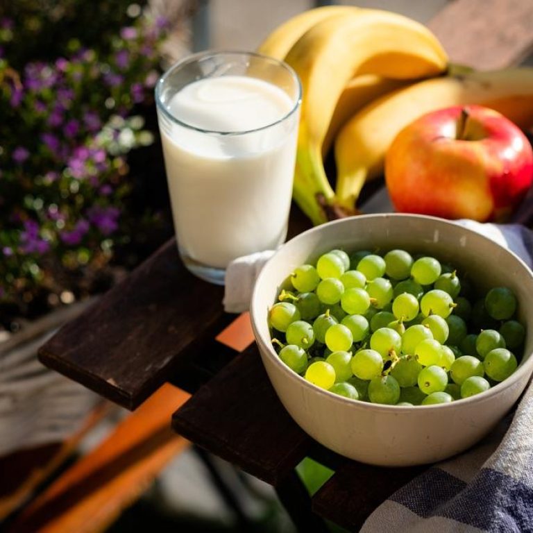 healthy-diet-e10156817cb740c8b6d53a956eb18cac